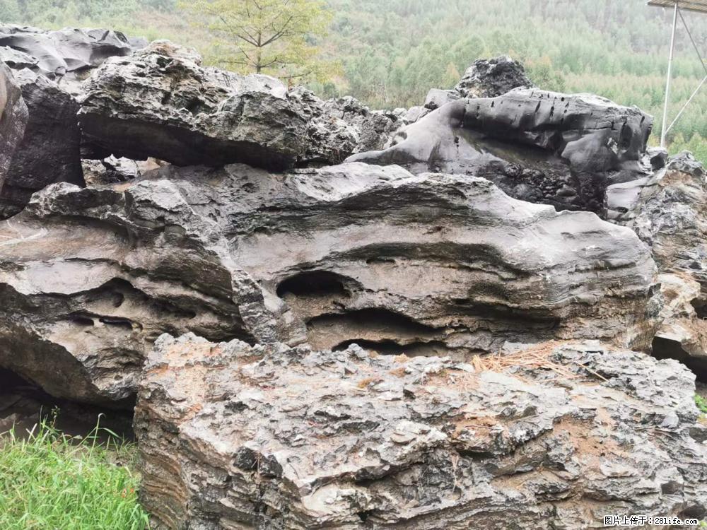 风景石、假山石大量有货，有需要的欢迎联系 - 新手上路 - 永州生活社区 - 永州28生活网 yongzhou.28life.net