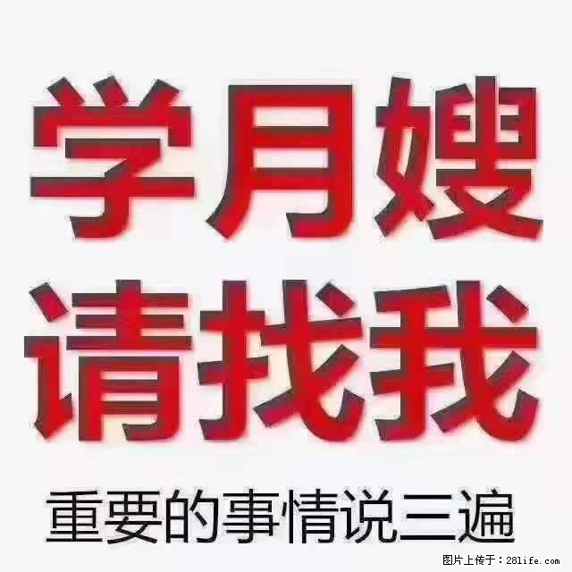 为什么要学习月嫂,育婴师? - 其他广告 - 广告专区 - 永州分类信息 - 永州28生活网 yongzhou.28life.net