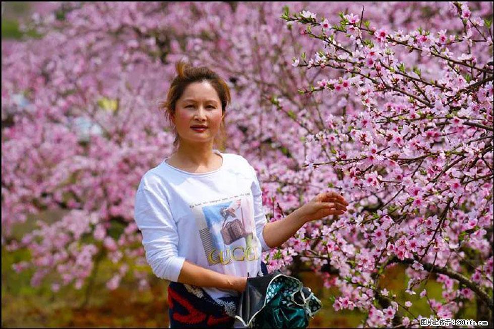 【春天，广西桂林灌阳县向您发出邀请！】官庄村有个醉美的桃花园 - 游山玩水 - 永州生活社区 - 永州28生活网 yongzhou.28life.net