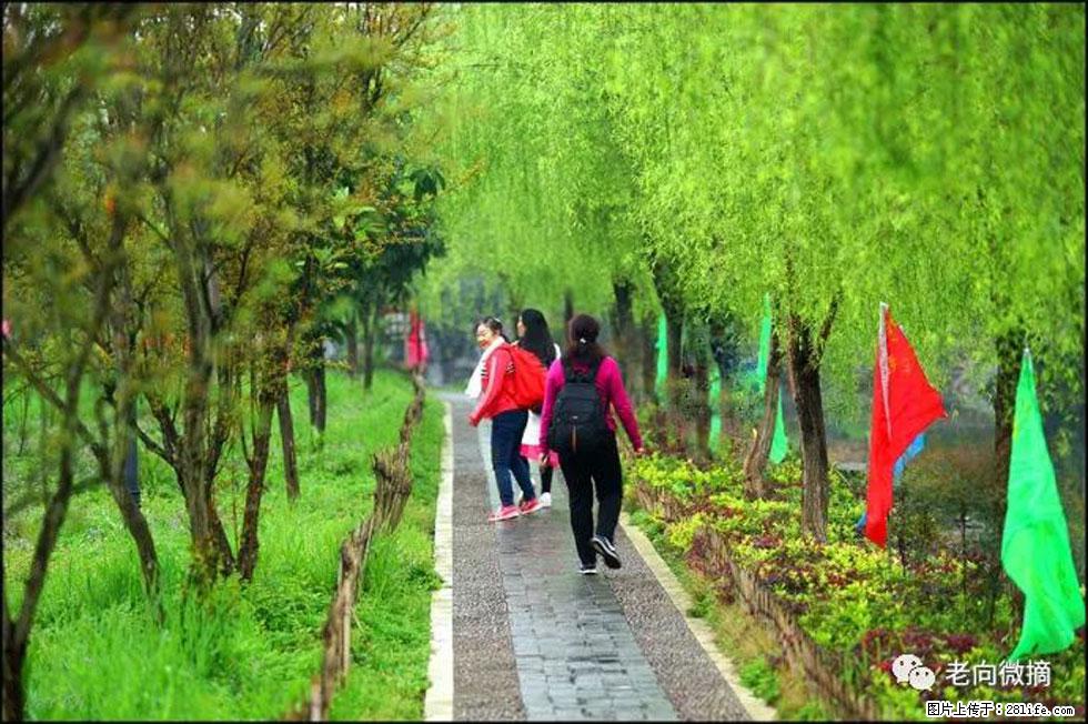 【春天，广西桂林灌阳县向您发出邀请！】江口老街又逢春 - 游山玩水 - 永州生活社区 - 永州28生活网 yongzhou.28life.net