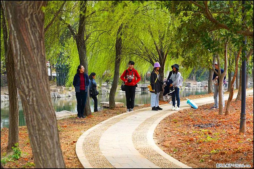 【春天，广西桂林灌阳县向您发出邀请！】江口老街又逢春 - 游山玩水 - 永州生活社区 - 永州28生活网 yongzhou.28life.net