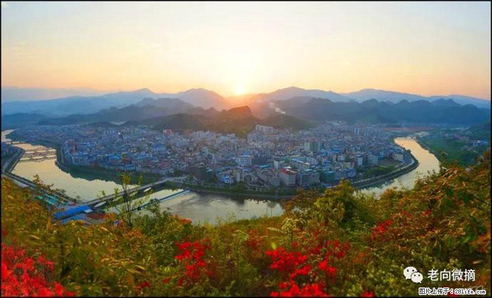 【春天,广西桂林灌阳县向您发出邀请!】登麒麟山,相约映山红 - 游山玩水 - 永州生活社区 - 永州28生活网 yongzhou.28life.net