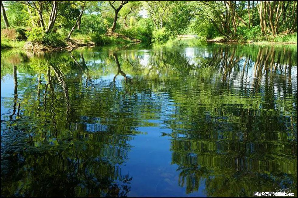 【春天，广西桂林灌阳县向您发出邀请！】熊家寨湿地公园 - 游山玩水 - 永州生活社区 - 永州28生活网 yongzhou.28life.net