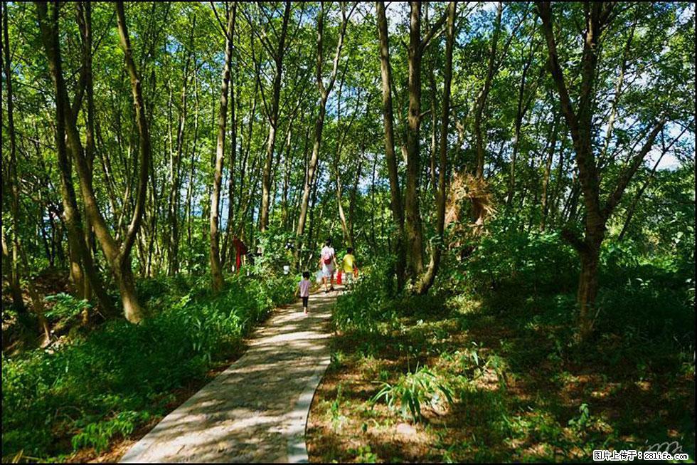 【春天，广西桂林灌阳县向您发出邀请！】熊家寨湿地公园 - 游山玩水 - 永州生活社区 - 永州28生活网 yongzhou.28life.net