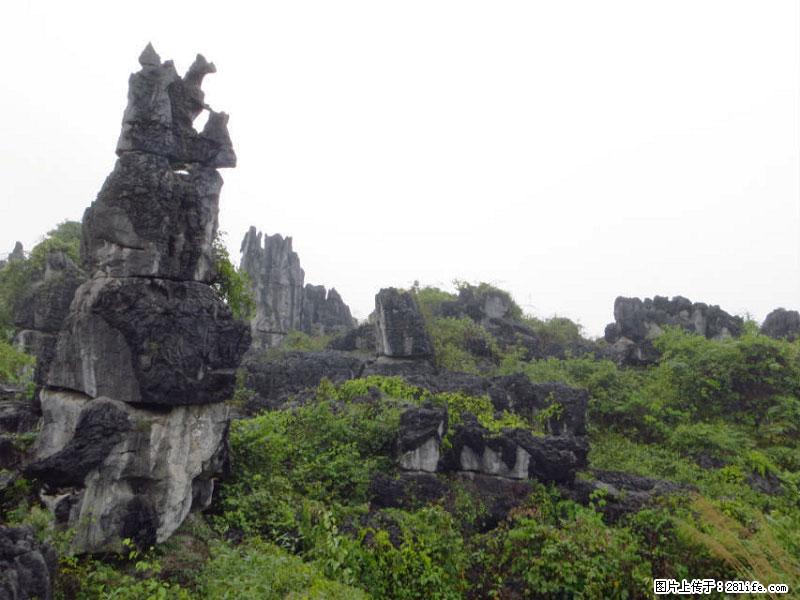 桂林旅游名城景点：灌阳文市石林 - 游山玩水 - 永州生活社区 - 永州28生活网 yongzhou.28life.net