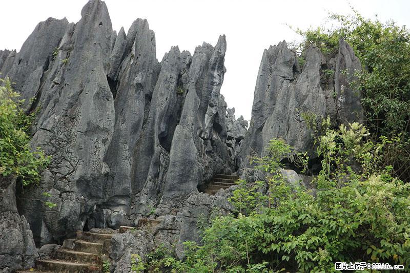 桂林旅游名城景点：灌阳文市石林 - 游山玩水 - 永州生活社区 - 永州28生活网 yongzhou.28life.net