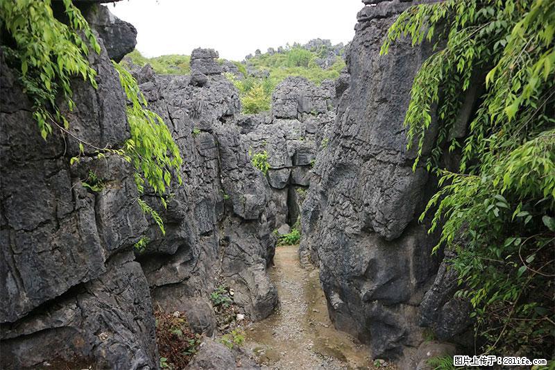 桂林旅游名城景点：灌阳文市石林 - 游山玩水 - 永州生活社区 - 永州28生活网 yongzhou.28life.net