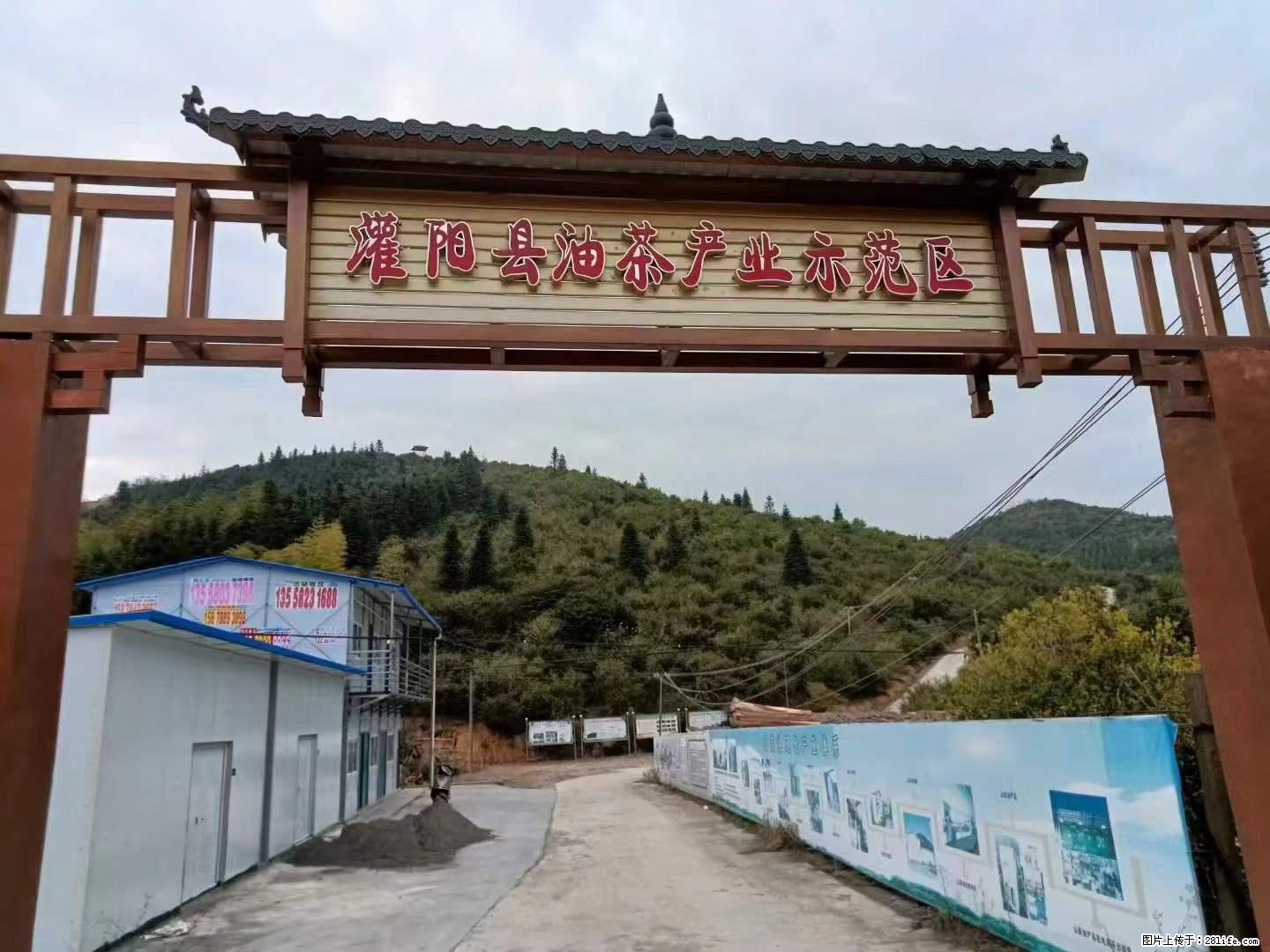 【灌阳县油茶产业示范区】一个有着充实的精神生活的人，对待身外之物自会有一种淡泊的态度 - 美食天地 - 永州生活社区 - 永州28生活网 yongzhou.28life.net