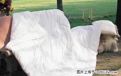 被子有异味？只要这样做，比晒太阳还强100倍！ - 家居生活 - 永州生活社区 - 永州28生活网 yongzhou.28life.net