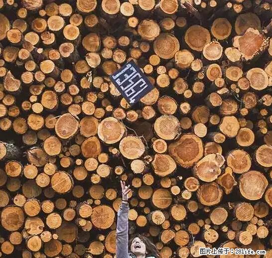 辞掉工作周游世界？现在他们在洗厕所…… - 游山玩水 - 永州生活社区 - 永州28生活网 yongzhou.28life.net