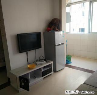 潇湘公园帝王广场 1室1厅1卫40平米 精装修 随时看房 - 永州28生活网 yongzhou.28life.net