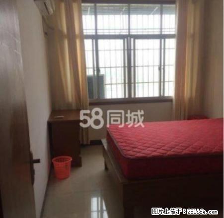 百业街 1室1厅1卫55平米 精装 家电齐全 拎包入住 - 房屋出租 - 房屋租售 - 永州分类信息 - 永州28生活网 yongzhou.28life.net