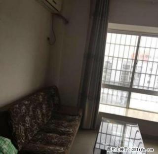 尚东公寓 1室1厅1卫 精装修 家电齐全 看房满意 拎包入住 - 永州28生活网 yongzhou.28life.net