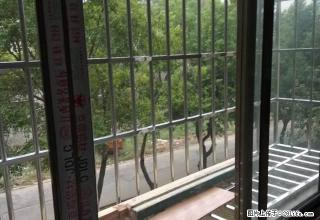 跃进小区 绿化超好 房 免费停车 2室1厅1卫 - 永州28生活网 yongzhou.28life.net