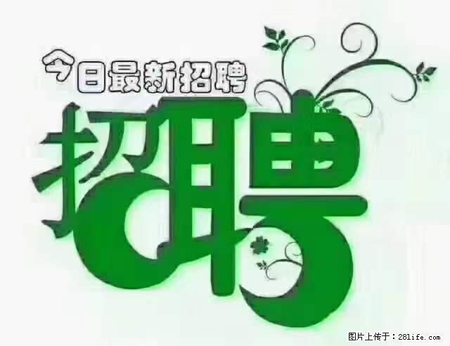 【招聘摄像师】待遇：试用期6000元/月，转正7000元/月+五险一金+餐补+节日福利+奖金 - 其他招聘信息 - 招聘求职 - 永州分类信息 - 永州28生活网 yongzhou.28life.net