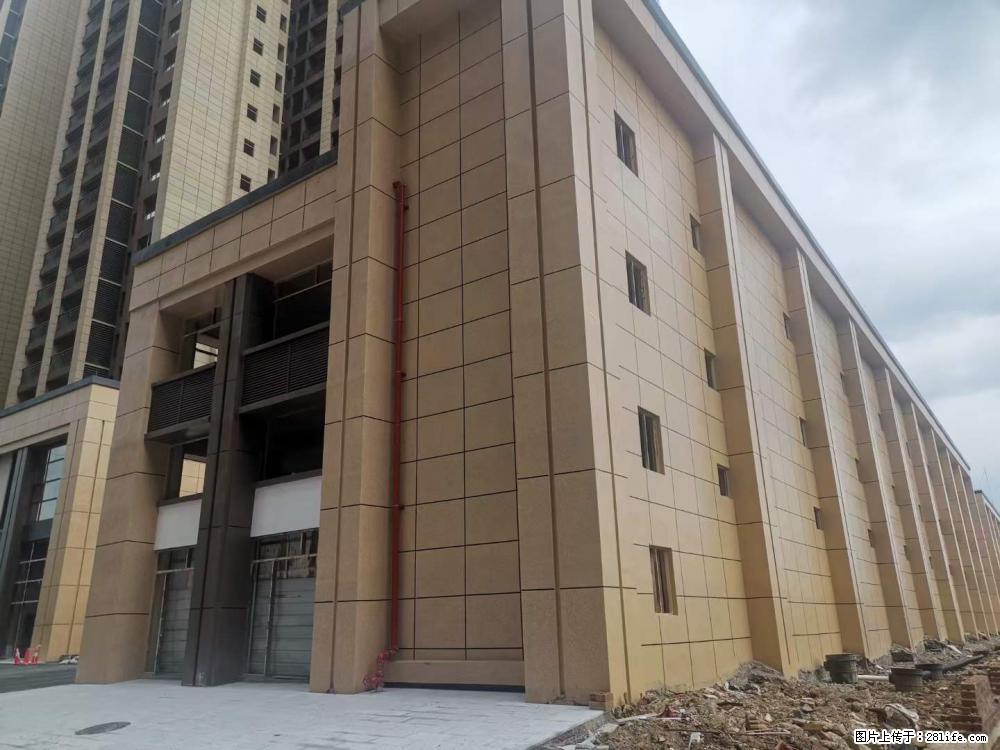 【广西三象建筑安装工程有限公司】外墙涂料工程 - 新手上路 - 永州生活社区 - 永州28生活网 yongzhou.28life.net