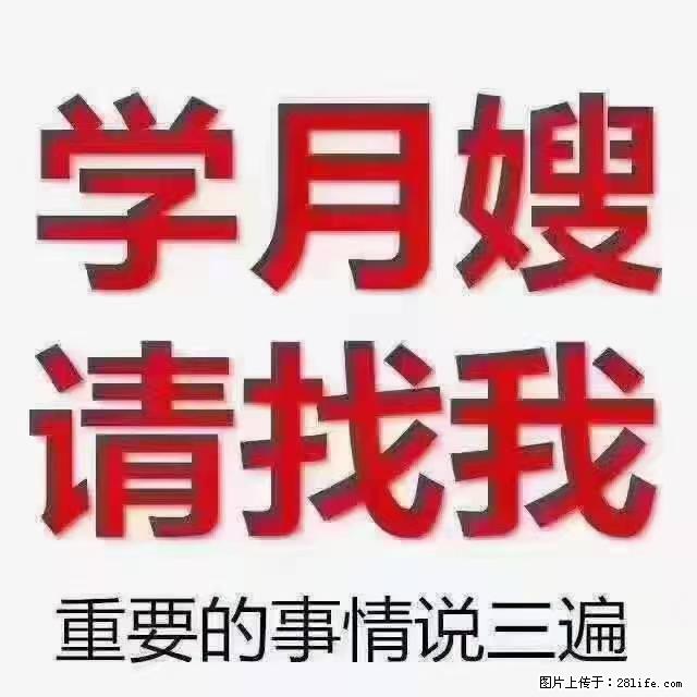 【招聘】月嫂，上海徐汇区 - 职场交流 - 永州生活社区 - 永州28生活网 yongzhou.28life.net