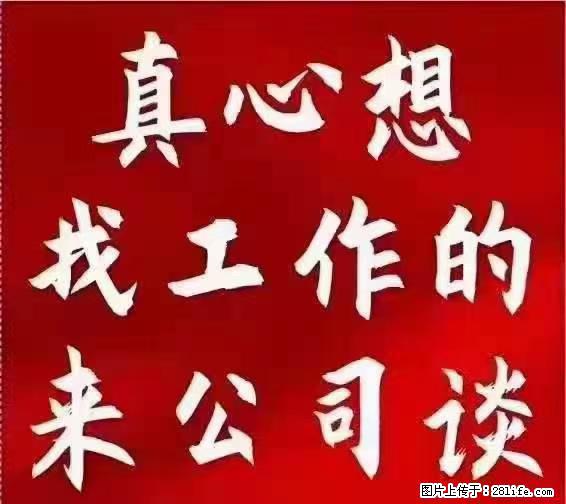 【上海】国企，医院招两名男保安，55岁以下，身高1.7米以上，无犯罪记录不良嗜好 - 职场交流 - 永州生活社区 - 永州28生活网 yongzhou.28life.net
