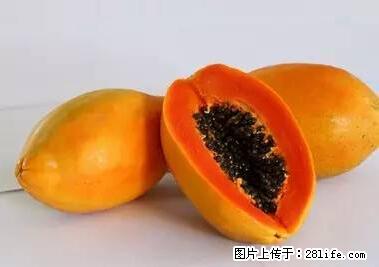 晕车、脚气、牙齿变黄、皮肤粗糙？学会这些三分钟搞定！ - 永州生活资讯 - 永州28生活网 yongzhou.28life.net