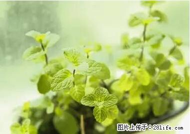 晕车、脚气、牙齿变黄、皮肤粗糙？学会这些三分钟搞定！ - 永州生活资讯 - 永州28生活网 yongzhou.28life.net