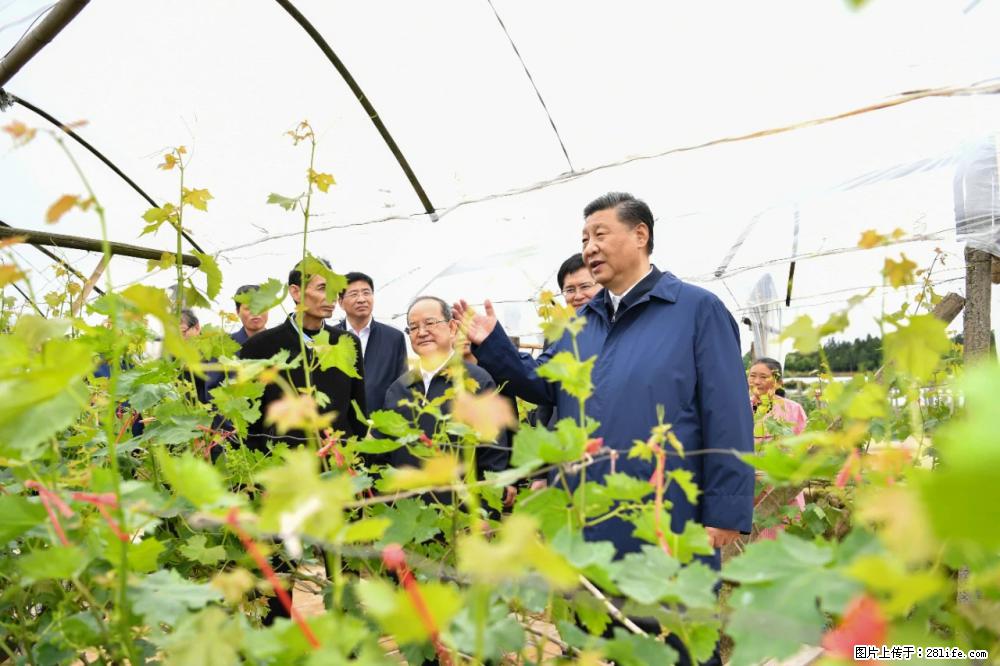习近平赴广西考察调研 - 永州生活资讯 - 永州28生活网 yongzhou.28life.net