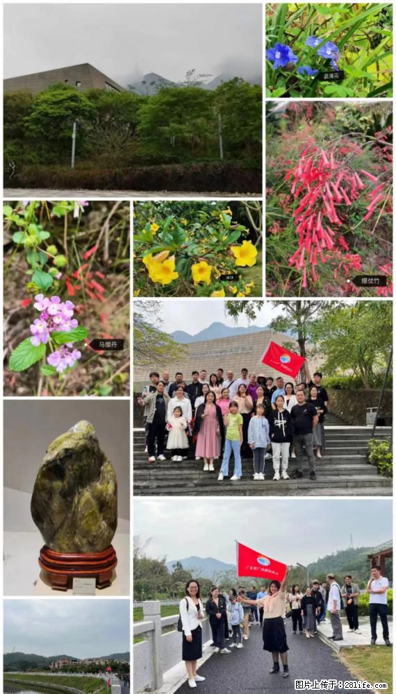 “粤灌文化 美好生活”油茶文化主题活动在广东深圳成功举办 - 永州生活资讯 - 永州28生活网 yongzhou.28life.net