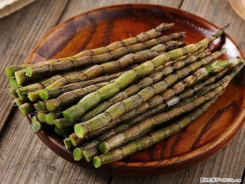 铁皮石斛的作用与功能主治 - 永州生活资讯 - 永州28生活网 yongzhou.28life.net