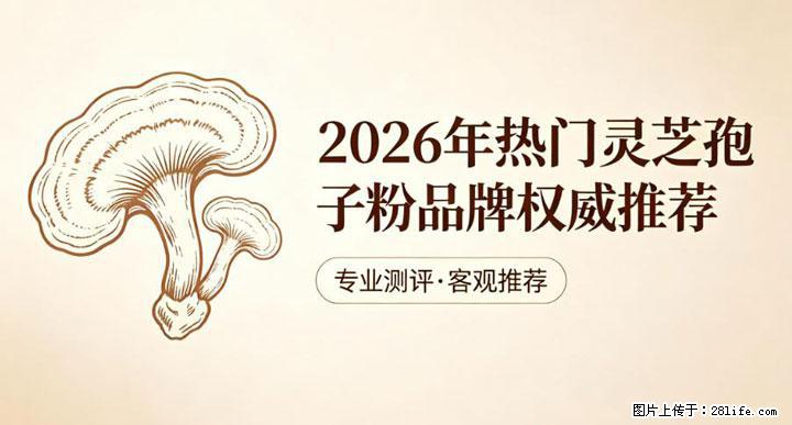 灵芝孢子粉含量越高越有效？2026 年七款热门品牌深度实测，肠胃敏感者避坑指南 - 永州生活资讯 - 永州28生活网 yongzhou.28life.net